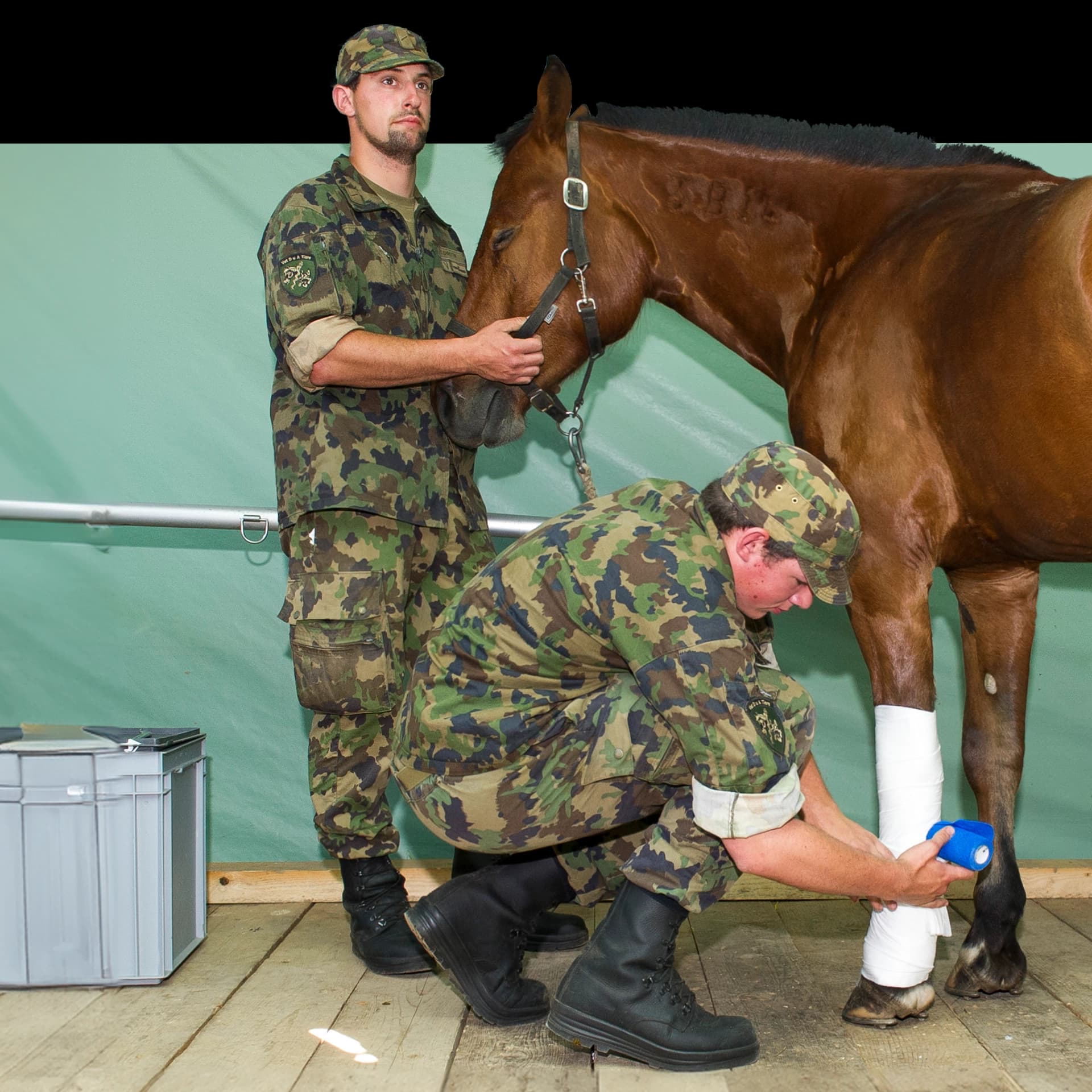 Veterinärsoldaten verarzten ein Pferd